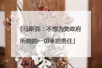 马斯克：不想为美政府所做的一切承担责任