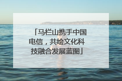 马栏山携手中国电信，共绘文化科技融合发展蓝图