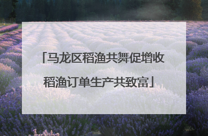 马龙区稻渔共舞促增收 稻渔订单生产共致富
