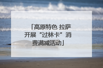 高原特色 拉萨开展“过林卡”消费满减活动
