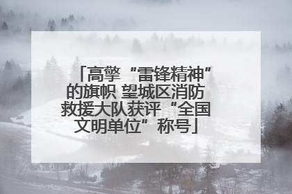 高擎“雷锋精神”的旗帜 望城区消防救援大队获评“全国文明单位”称号