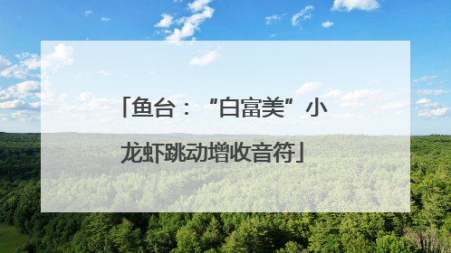 鱼台：“白富美”小龙虾跳动增收音符
