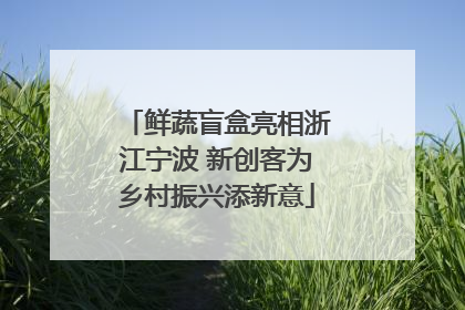 鲜蔬盲盒亮相浙江宁波 新创客为乡村振兴添新意