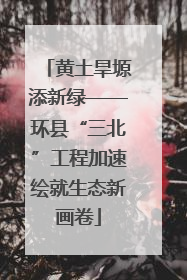 黄土旱塬添新绿——环县“三北”工程加速绘就生态新画卷