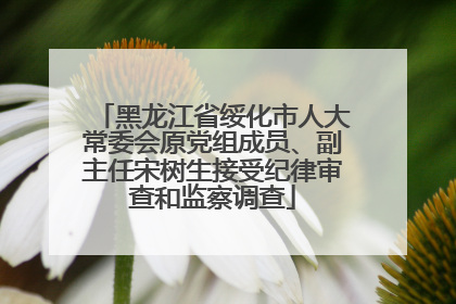 黑龙江省绥化市人大常委会原党组成员、副主任宋树生接受纪律审查和监察调查