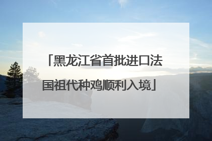 黑龙江省首批进口法国祖代种鸡顺利入境