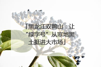 黑龙江双鸭山：让“绿字号”从寒地黑土挺进大市场