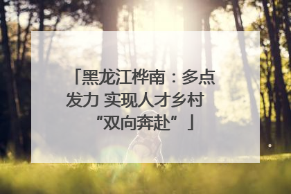 黑龙江桦南：多点发力 实现人才乡村“双向奔赴”