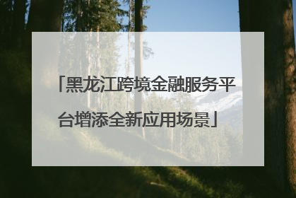 黑龙江跨境金融服务平台增添全新应用场景