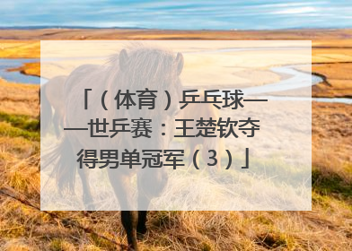 （体育）乒乓球——世乒赛：王楚钦夺得男单冠军（3）