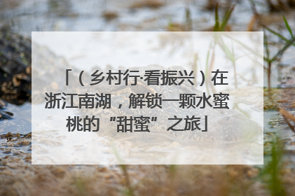 （乡村行·看振兴）在浙江南湖，解锁一颗水蜜桃的“甜蜜”之旅