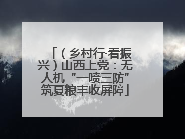 （乡村行·看振兴）山西上党：无人机“一喷三防”筑夏粮丰收屏障
