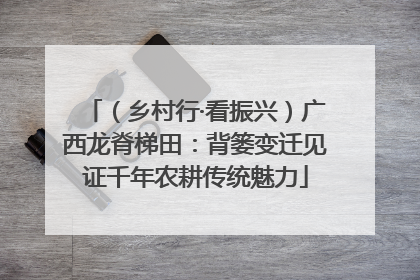 （乡村行·看振兴）广西龙脊梯田：背篓变迁见证千年农耕传统魅力