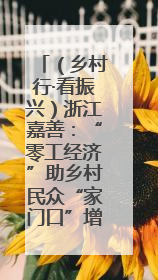 （乡村行·看振兴）浙江嘉善：“零工经济”助乡村民众“家门口”增收