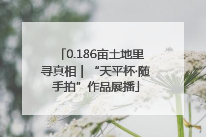 0.186亩土地里寻真相｜“天平杯·随手拍”作品展播