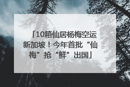 10箱仙居杨梅空运新加坡！今年首批“仙梅”抢“鲜”出国