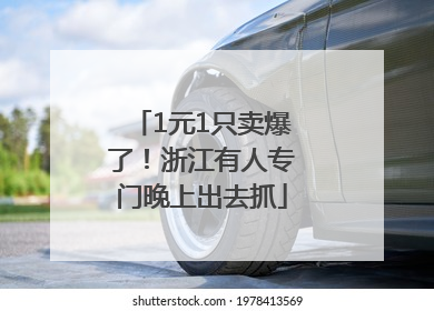 1元1只卖爆了！浙江有人专门晚上出去抓