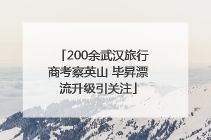 200余武汉旅行商考察英山 毕昇漂流升级引关注