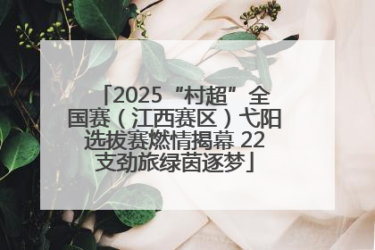 2025“村超”全国赛（江西赛区）弋阳选拔赛燃情揭幕 22支劲旅绿茵逐梦