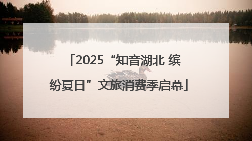 2025“知音湖北 缤纷夏日”文旅消费季启幕