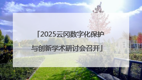 2025云冈数字化保护与创新学术研讨会召开