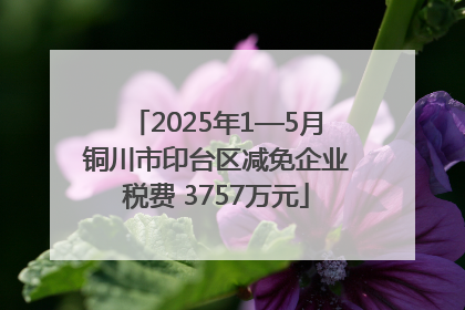 2025年1—5月铜川市印台区减免企业税费 3757万元