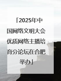 2025年中国网络文明大会优质网络主播培育分论坛在合肥举办