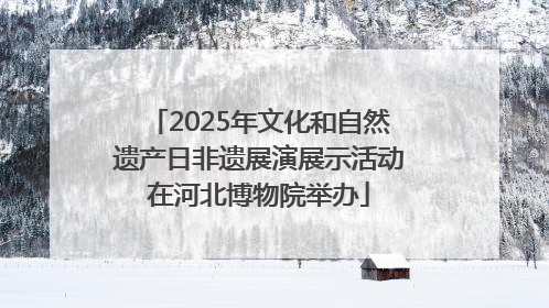 2025年文化和自然遗产日非遗展演展示活动在河北博物院举办