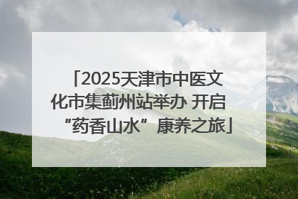 2025天津市中医文化市集蓟州站举办 开启“药香山水”康养之旅