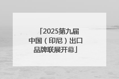 2025第九届中国（印尼）出口品牌联展开幕