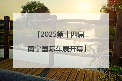 2025第十四届南宁国际车展开幕