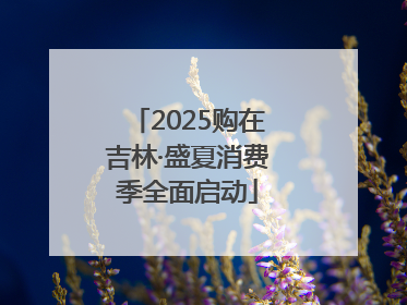 2025购在吉林·盛夏消费季全面启动