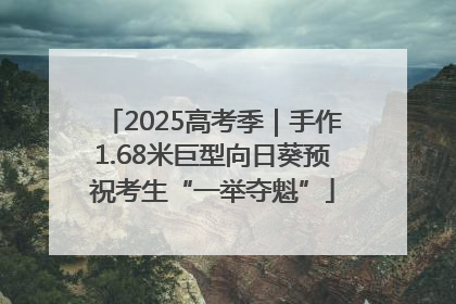 2025高考季｜手作1.68米巨型向日葵预祝考生“一举夺魁”