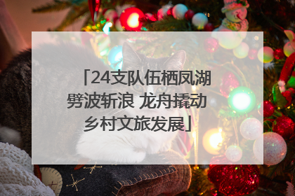 24支队伍栖凤湖劈波斩浪 龙舟撬动乡村文旅发展