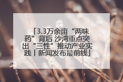 3.3万余亩“两味药”背后 沙湾重点突出“三性”推动产业实践丨新闻发布最前线