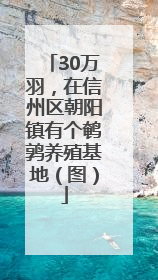 30万羽，在信州区朝阳镇有个鹌鹑养殖基地（图）