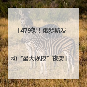 479架！俄罗斯发动“最大规模”夜袭