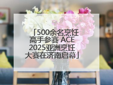 500余名烹饪高手参赛 ACE2025亚洲烹饪大赛在济南启幕