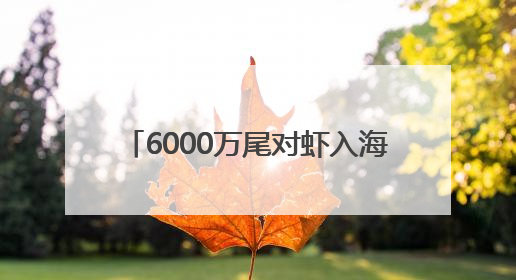 6000万尾对虾入海 潍坊市2025年增殖放流活动拉开帷幕