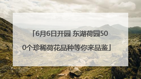 6月6日开园 东湖荷园500个珍稀荷花品种等你来品鉴