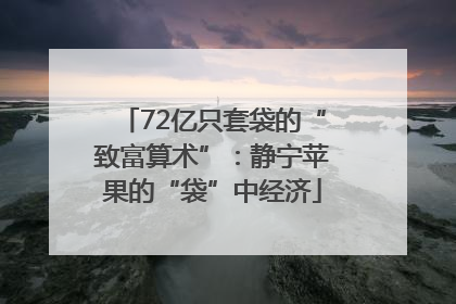 72亿只套袋的“致富算术”：静宁苹果的“袋”中经济