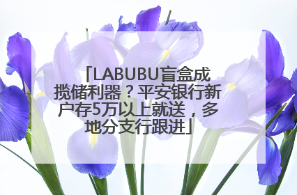 LABUBU盲盒成揽储利器？平安银行新户存5万以上就送，多地分支行跟进