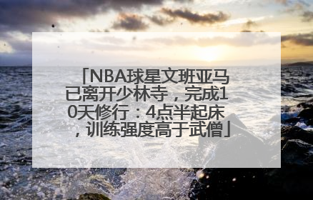 NBA球星文班亚马已离开少林寺，完成10天修行：4点半起床，训练强度高于武僧