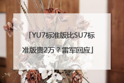 YU7标准版比SU7标准版贵2万？雷军回应
