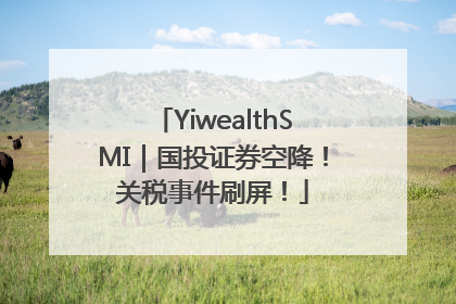YiwealthSMI｜国投证券空降！关税事件刷屏！